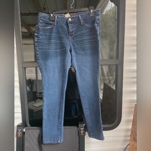 Women's Blue Jeans Faded Glory 12p